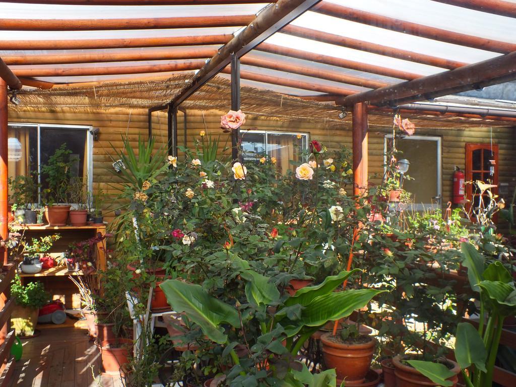 Concepción Hostal Mi Segundo Hogar מראה חיצוני תמונה