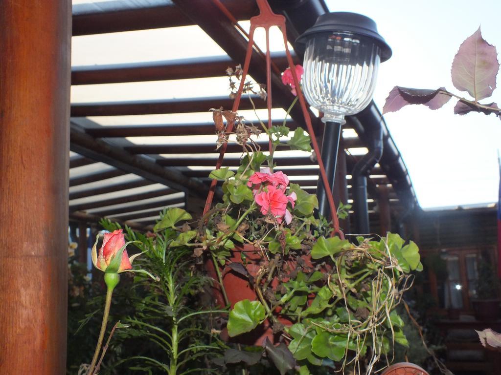 Concepción Hostal Mi Segundo Hogar מראה חיצוני תמונה