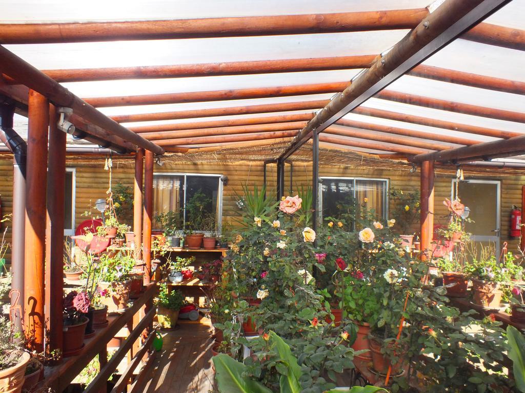 Concepción Hostal Mi Segundo Hogar מראה חיצוני תמונה