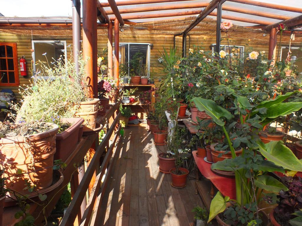 Concepción Hostal Mi Segundo Hogar מראה חיצוני תמונה