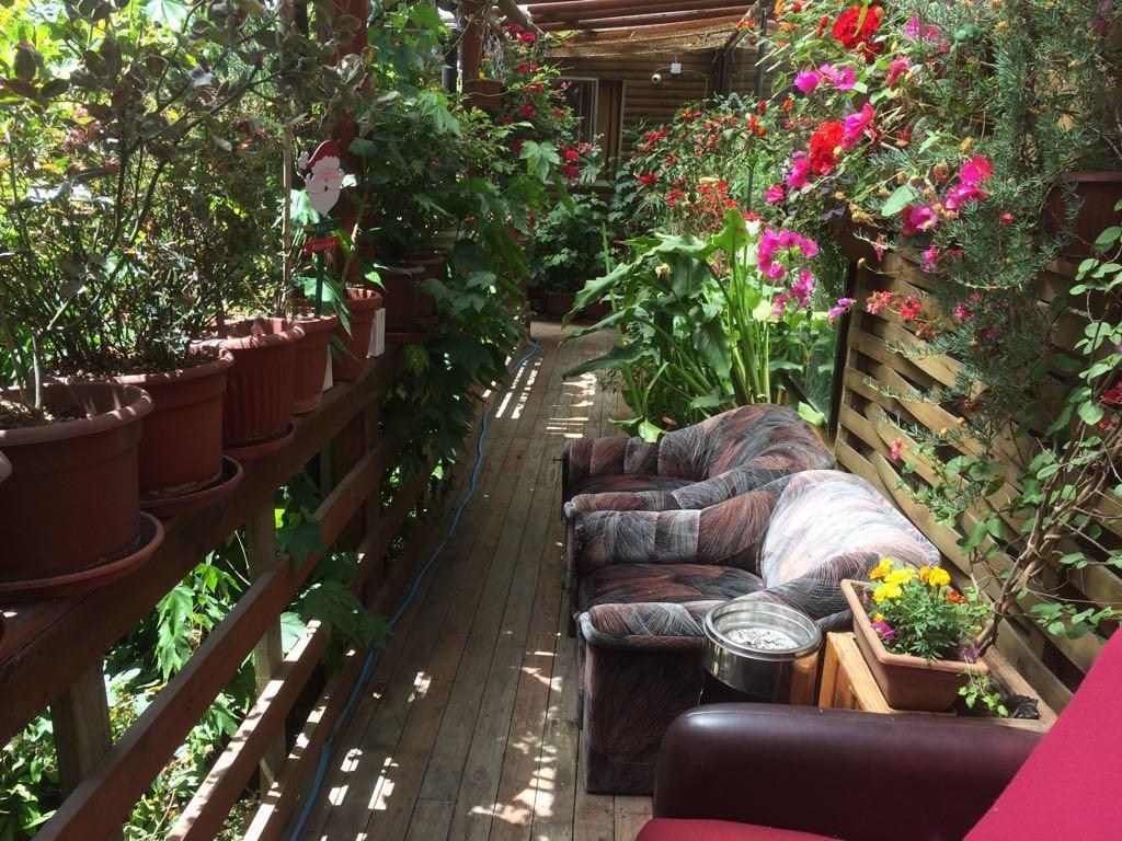 Concepción Hostal Mi Segundo Hogar מראה חיצוני תמונה