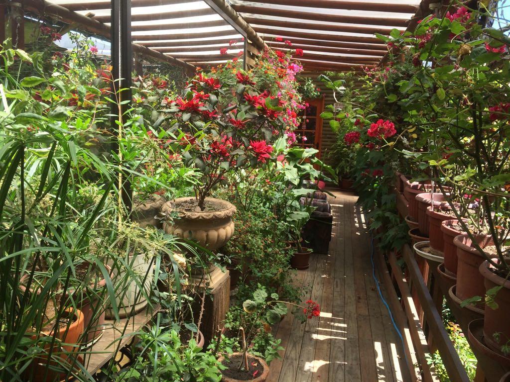 Concepción Hostal Mi Segundo Hogar מראה חיצוני תמונה
